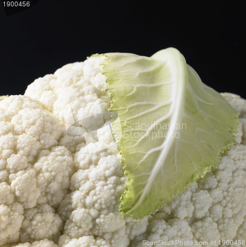 Image of cauliflower closeup