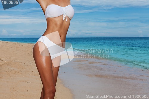 Image of Tanned body in bikini