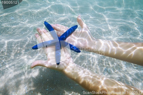 Image of blue starfish on palms