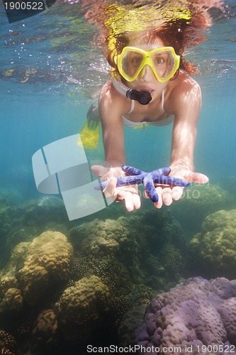 Image of snorkeler showing blue starfish