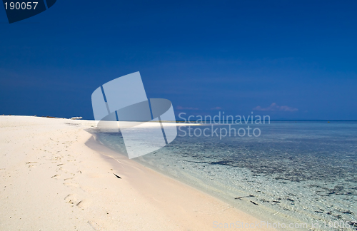 Image of Tropical beach