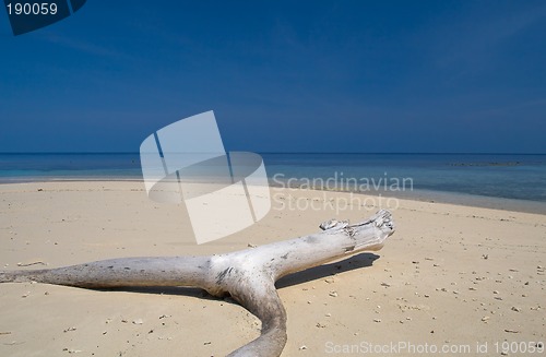 Image of Tropical beach