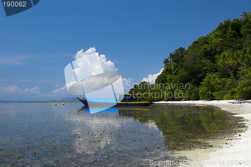 Image of Tropical beach