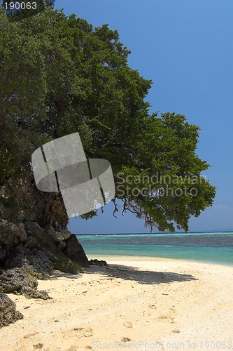 Image of Tropical beach