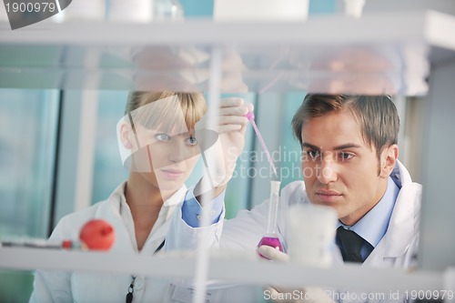 Image of science people in bright lab