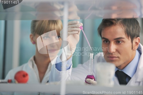 Image of science people in bright lab