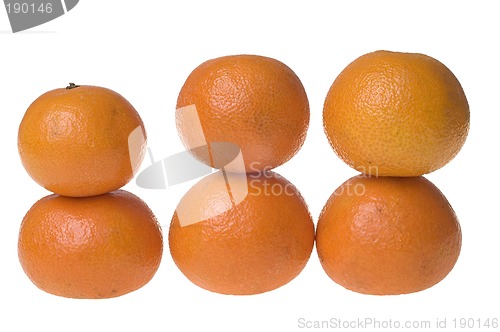 Image of Tangerines