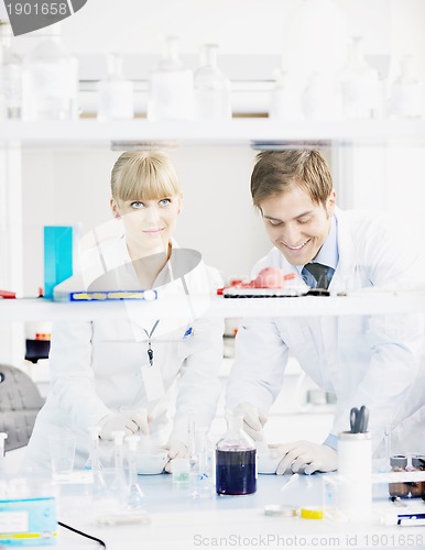 Image of science people in bright lab