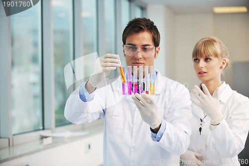 Image of science people in bright lab