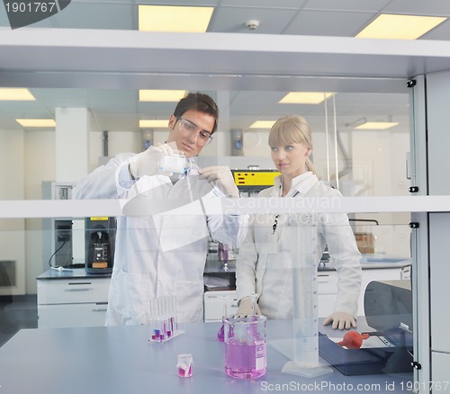 Image of science people in bright lab