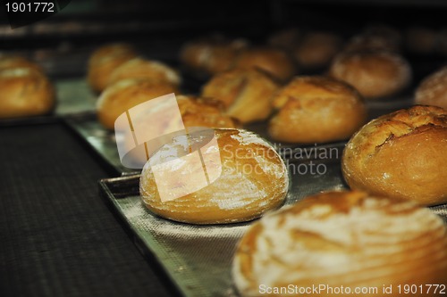 Image of bread factory production