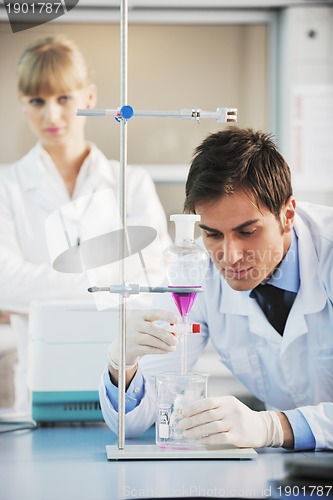 Image of science people in bright lab