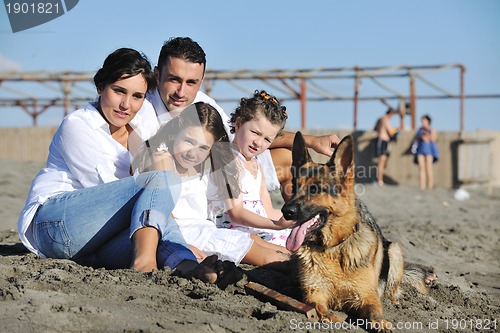 Image of happy family playing with dog on beach