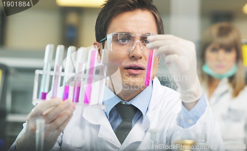 Image of science people in bright lab