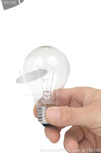 Image of Bulb