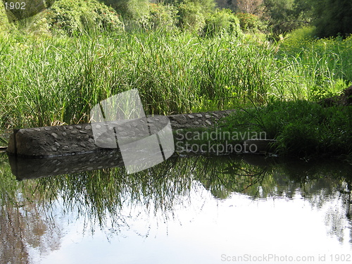 Image of Grass reflections. Nicosia. Cyprus