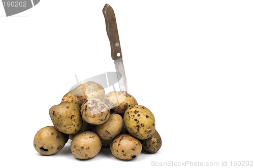 Image of Potato