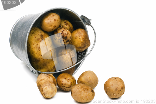 Image of Potato