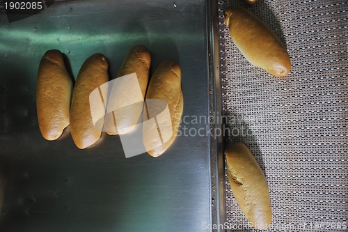 Image of bread factory production