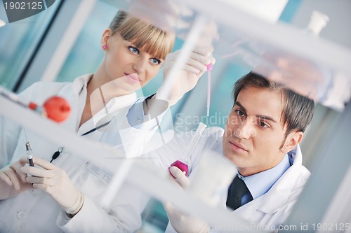 Image of research and  science people  in laboratory