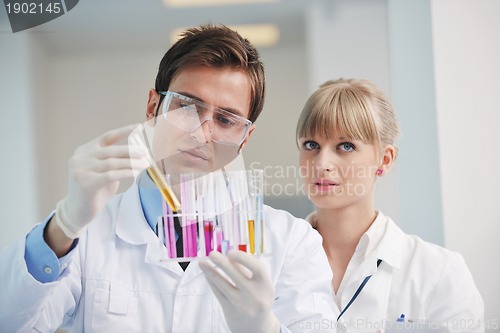 Image of science people in bright lab