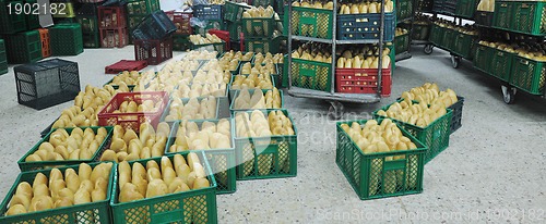 Image of bread factory production