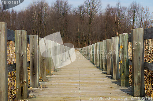 Image of Boardwalk over a marsh