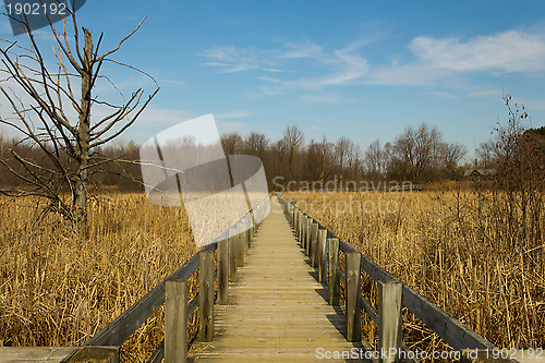 Image of Boardwalk over a marsh