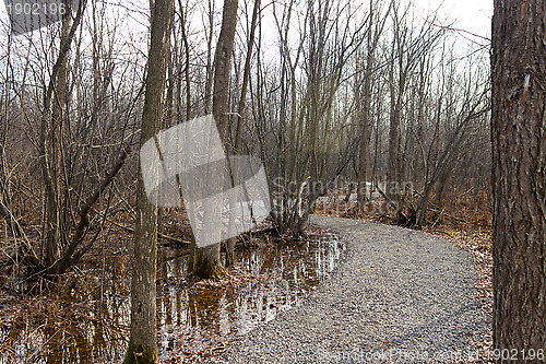 Image of Nature trail in the park