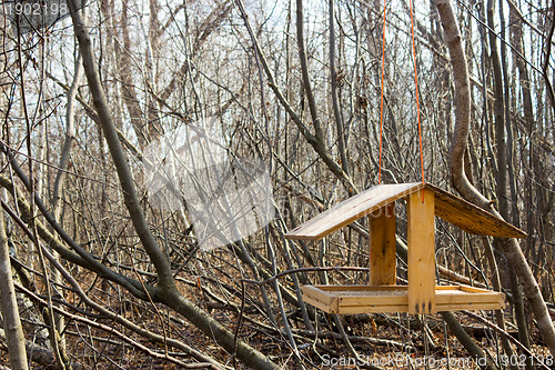 Image of Bird feeder in the forest