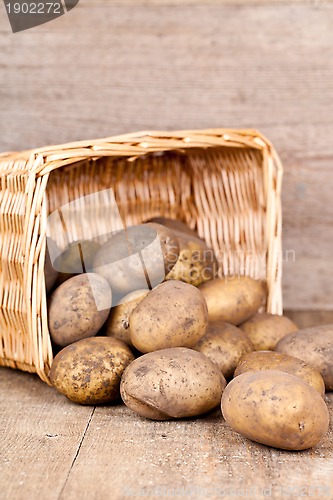 Image of basket with fresh potatoes