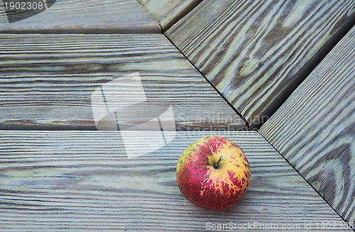Image of Apple On A Wooden Bench