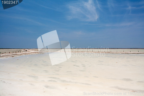 Image of Etosha pan
