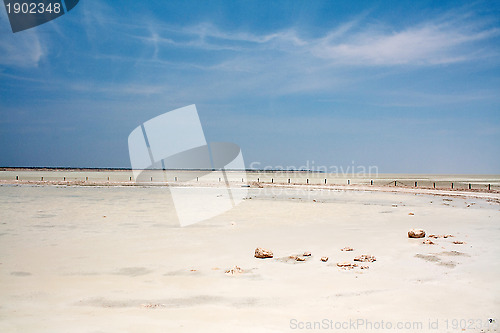 Image of Etosha pan