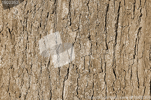 Image of Texture