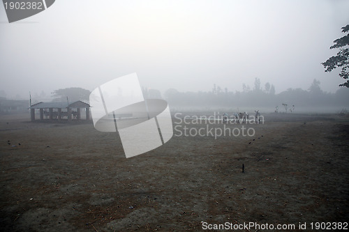 Image of Misty morning in the Bengal countryside Kumrokhali