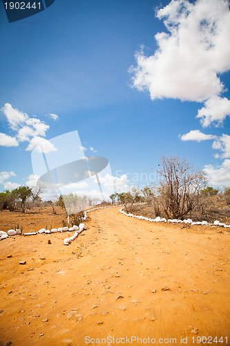 Image of Savana road