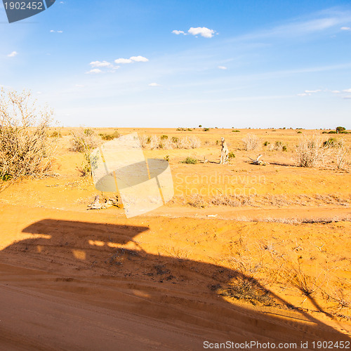 Image of Safari Vehicles silhouettes