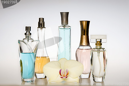 Image of Perfume bottles