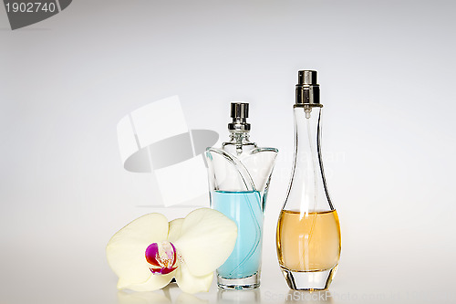 Image of Perfume bottles