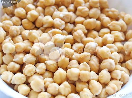 Image of Chickbeans