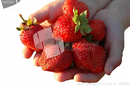 Image of Berries of a strawberry. Isolated