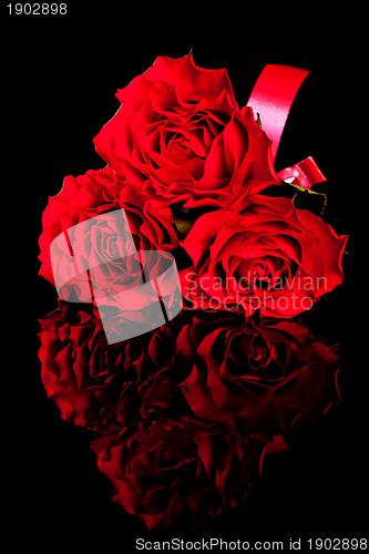 Image of three roses on black background