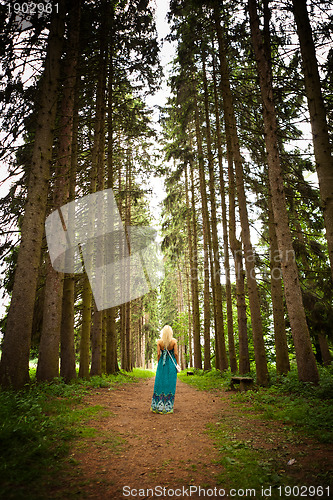 Image of woman walking in the fir woods