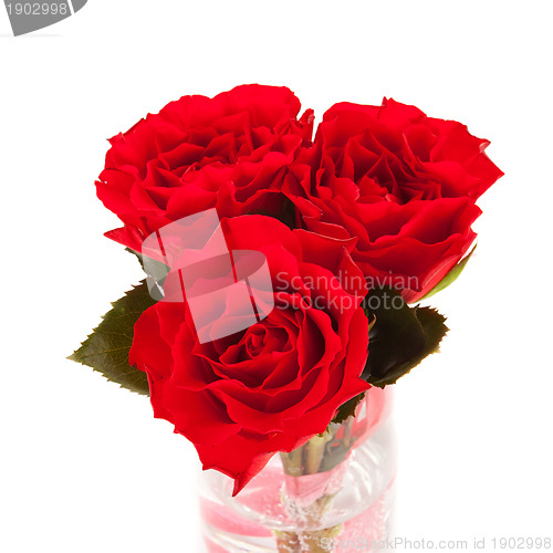 Image of three roses isolated 