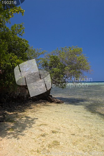 Image of Tropical beach