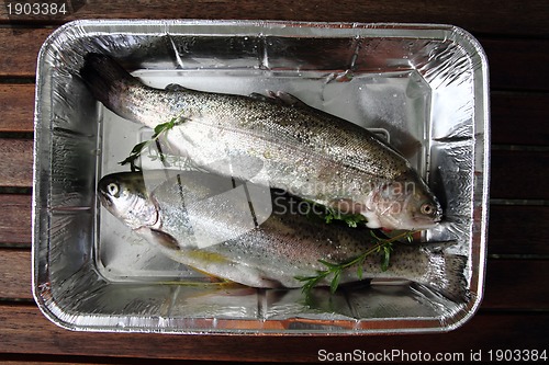 Image of raw trout fishes