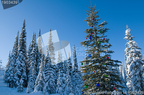Image of Decorated seasonal tree in a winter forest