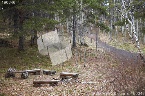 Image of Terrainkur in forest.