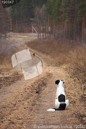 Image of Waiting